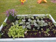 Zahradničíme ve školce